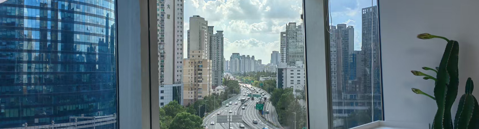 专业领域